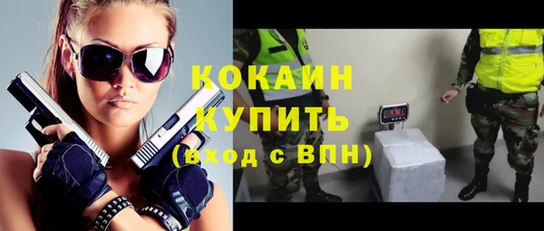 винт Галич