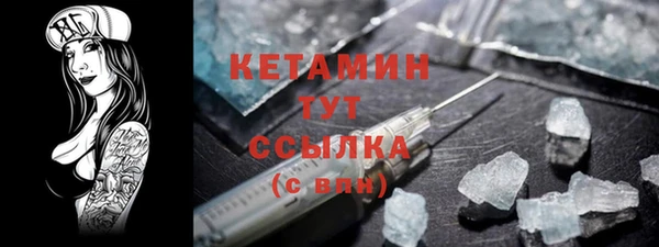 хмурый Осинники