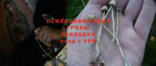 ешки Архангельск