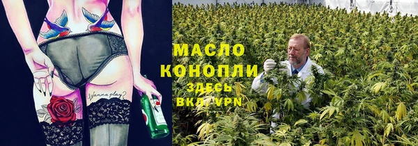 хмурый Осинники