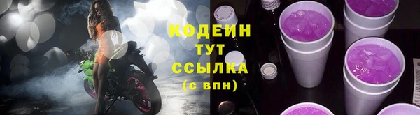 хмурый Осинники