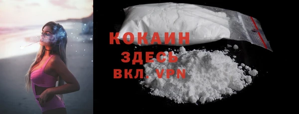 хмурый Осинники