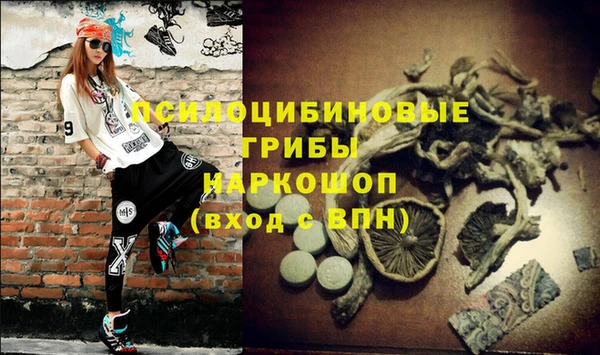 мяу мяу мука Осташков