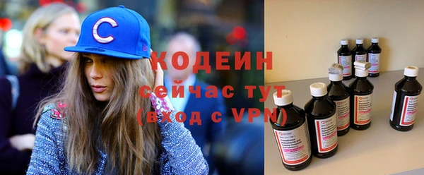 хмурый Осинники