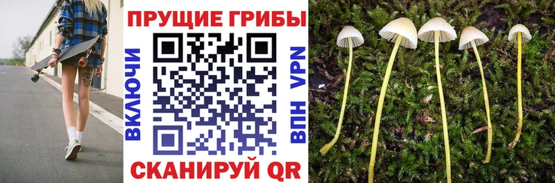hydra ссылки Белая Холуница Галлюциногенные грибы GOLDEN TEACHER сколько стоит